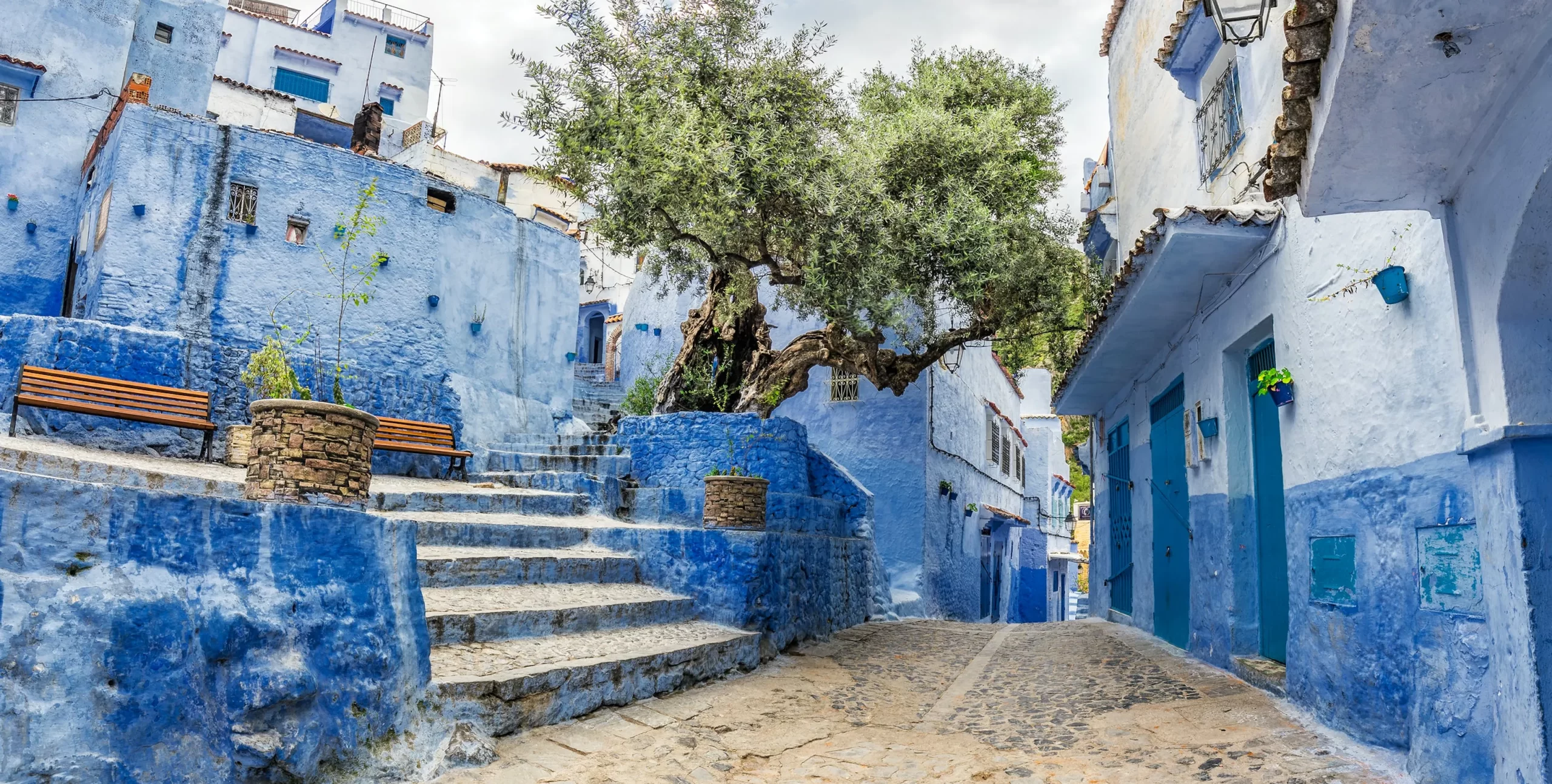 566a85f3-6a96-42c8-bc73-e86fb926095a-chefchaouen-medina