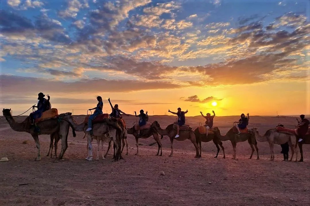 Camel Trekking